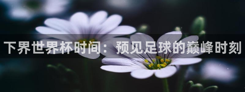 2006年世界杯冠军：下界世界杯时间：预见足球的巅峰时刻