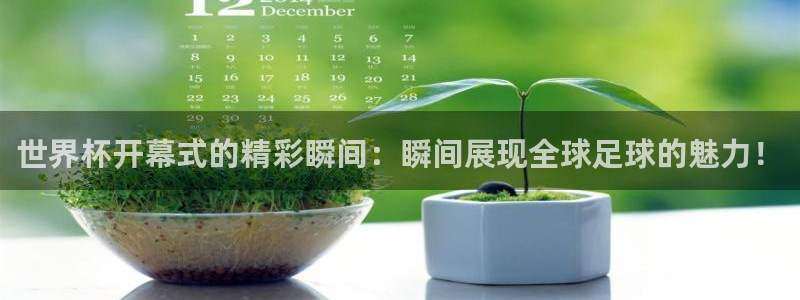 世界杯预选赛：世界杯开幕式的精彩瞬间：瞬间展现全球足球的魅力！