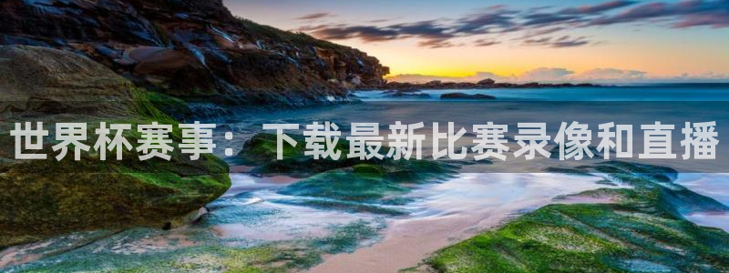 世界杯足球：世界杯赛事：下载最新比赛录像和直播