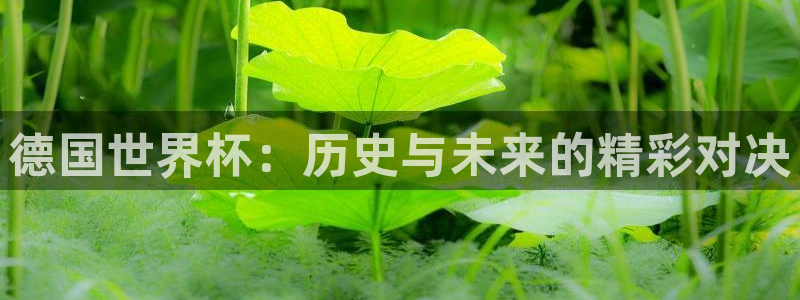 女足世界杯直播：德国世界杯：历史与未来的精彩对决