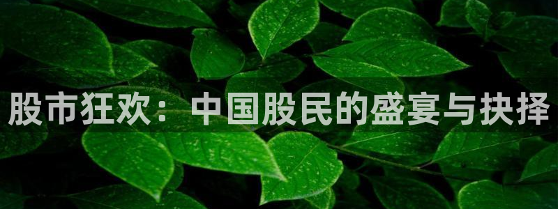 世界杯预选赛规则：股市狂欢：中国股民的盛宴与抉择