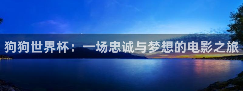 2026年世界杯对阵图：狗狗世界杯：一场忠诚与梦想的电影之旅