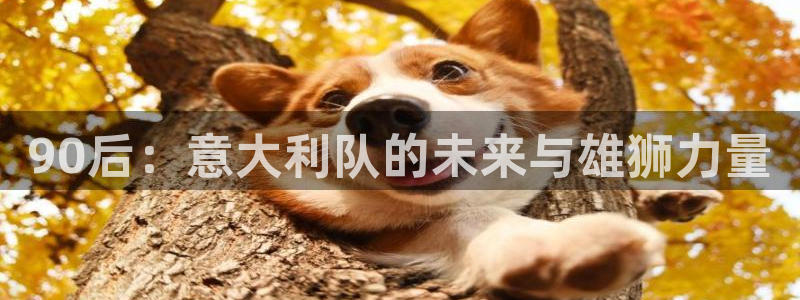 世界杯女足直播：90后：意大利队的未来与雄狮力量