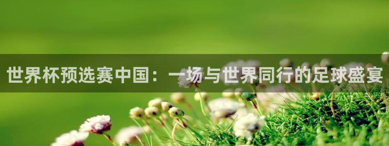 亚洲区世界杯预选赛：世界杯预选赛中国：一场与世界同行的足球盛宴