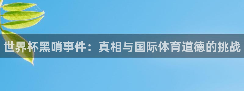 亚洲杯比赛直播：世界杯黑哨事件：真相与国际体育道德的挑战
