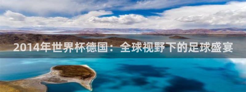 世界杯比赛：2014年世界杯德国：全球视野下的足球盛宴