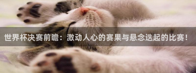 世界杯赛程表：世界杯决赛前瞻：激动人心的赛果与悬念迭起的比赛！