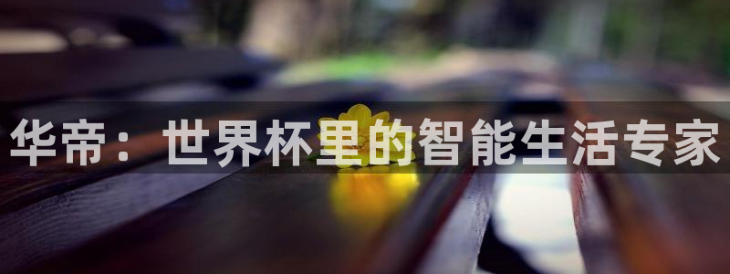 世界杯预选赛规则：华帝：世界杯里的智能生活专家