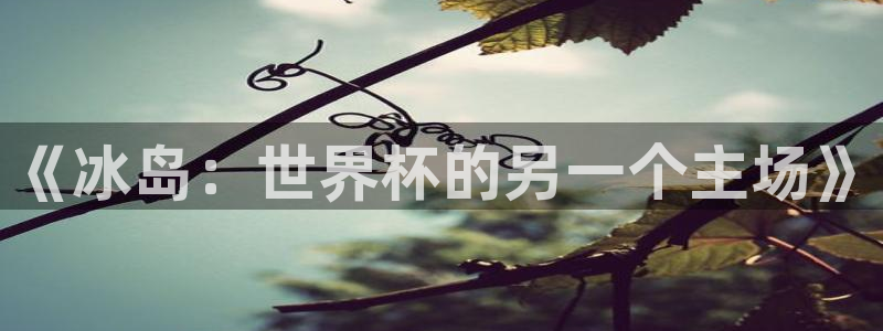 2026足球世界杯：《冰岛：世界杯的另一个主场》