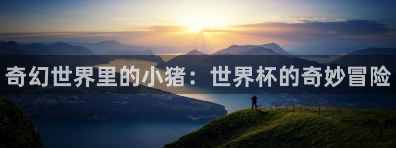 欧洲世预赛赛程表：奇幻世界里的小猪：世界杯的奇妙冒险